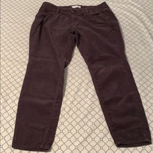 Loft corduroy jeans